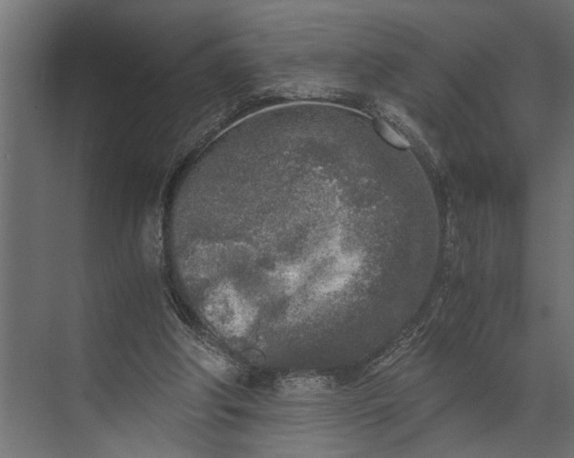 X0000073840202200608241025