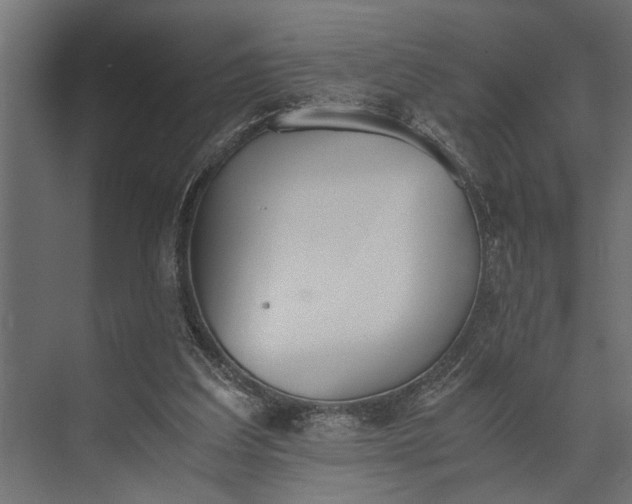 X0000073840203200608241025