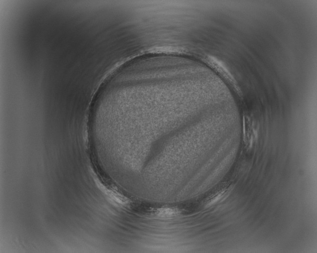 X0000073840204200608241025