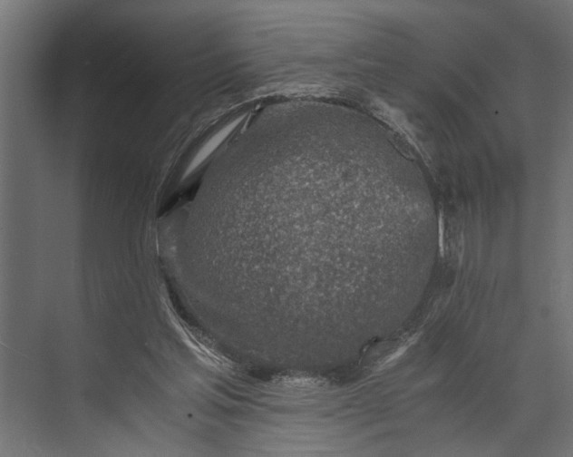 X0000073840205200608241025