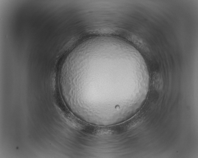 X0000073840206200608241025