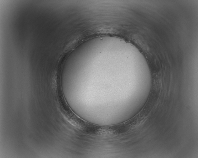 X0000073840207200608241025