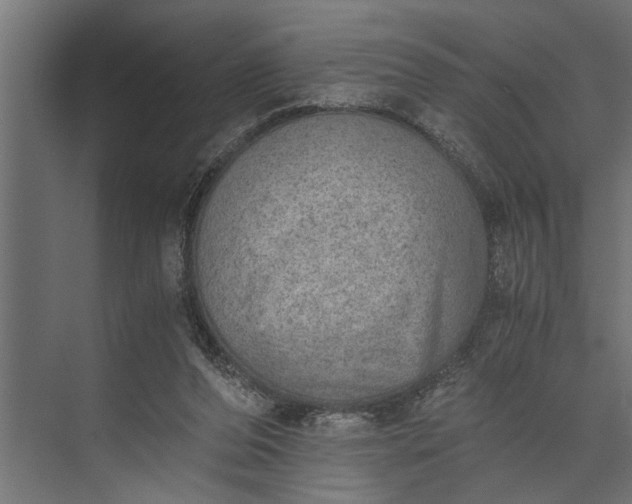 X0000073840208200608241025