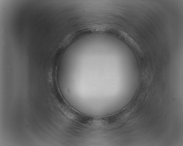 X0000073840209200608241025