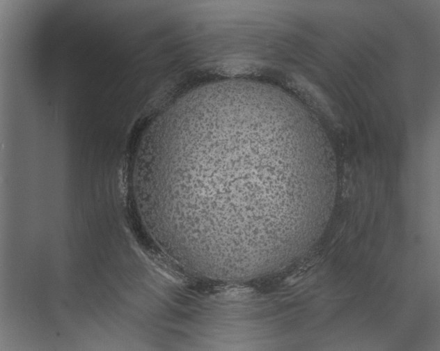 X0000073840210200608241025