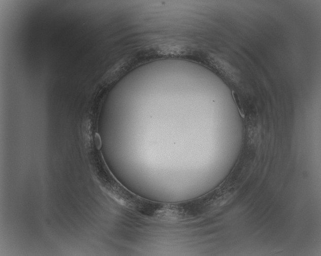 X0000073840211200608241025