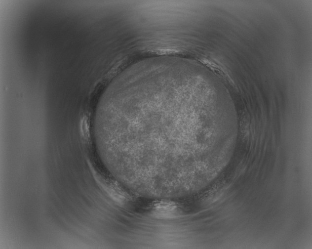 X0000073840214200608241025