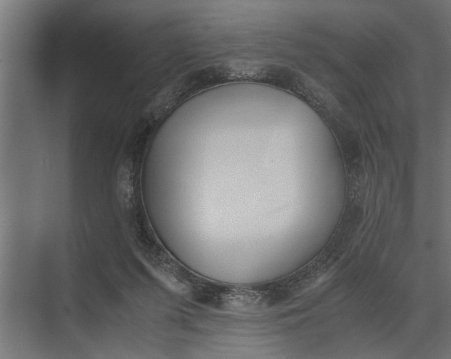 X0000073840215200608241025