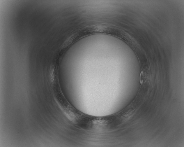 X0000073840216200608241025