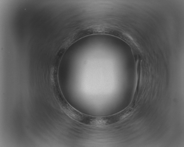 X0000073840217200608241025