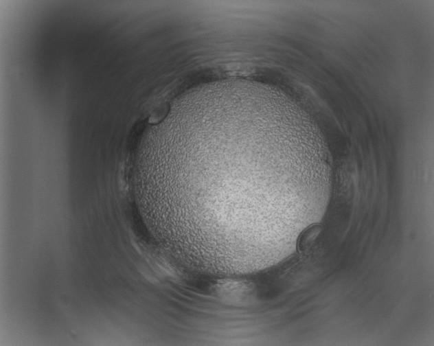 X0000073840218200608241025