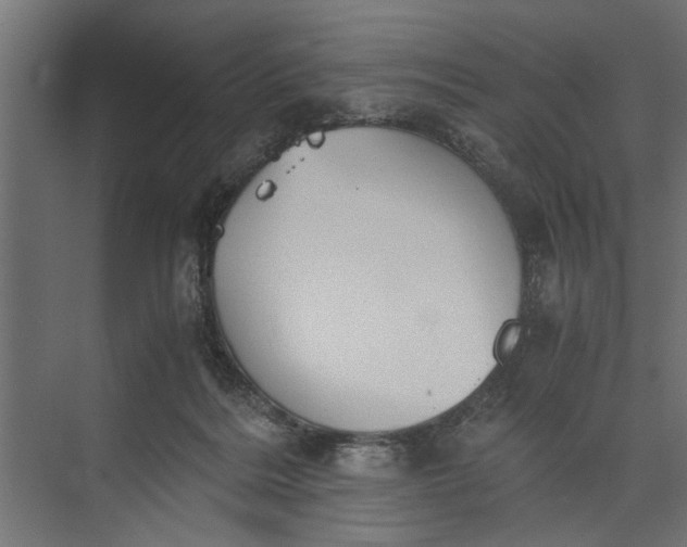 X0000073840220200608241025