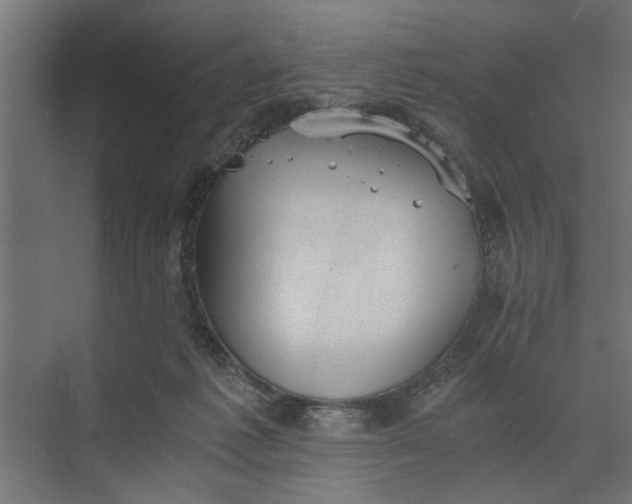 X0000073840221200608241025