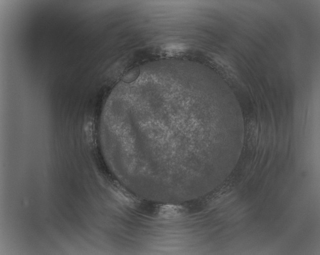 X0000073840222200608241025