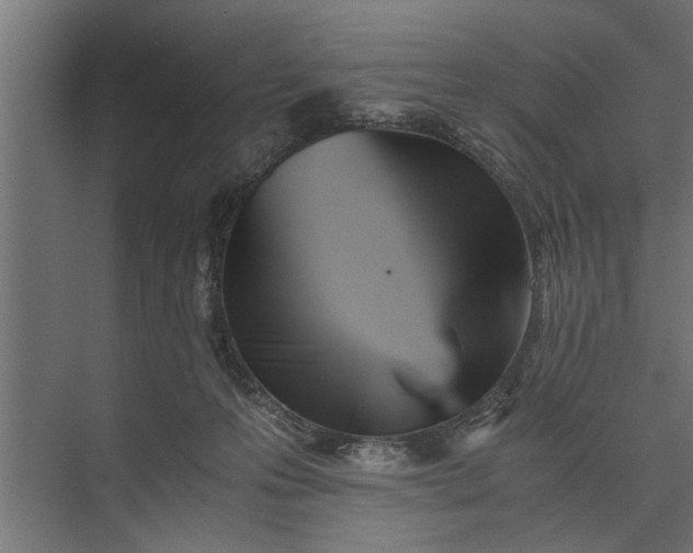 X0000073840223200608241025