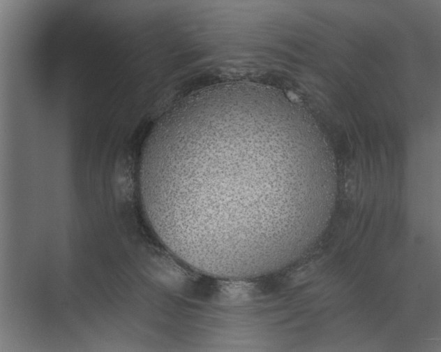 X0000073840226200608241025