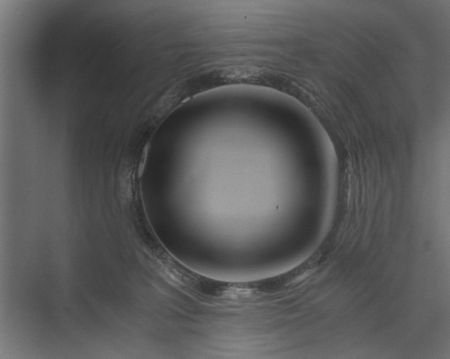 X0000073840227200608241025