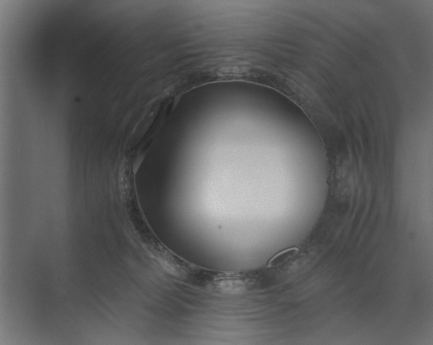 X0000073840228200608241025