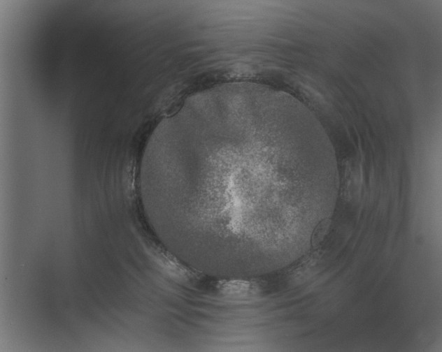 X0000073840230200608241025