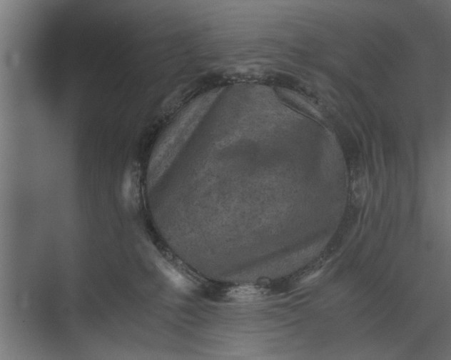 X0000073840231200608241025