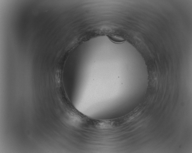 X0000073840232200608241025