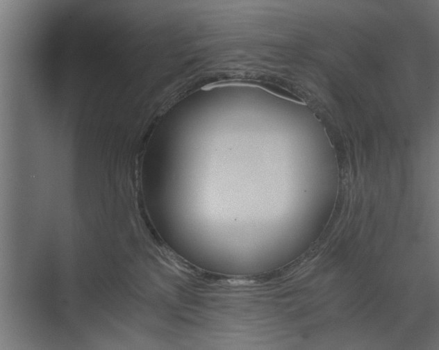 X0000073840233200608241025