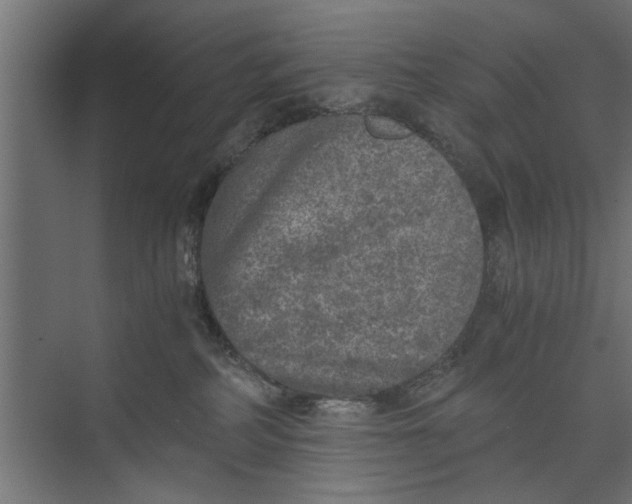 X0000073840234200608241025