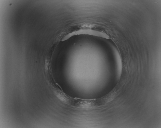 X0000073840235200608241025