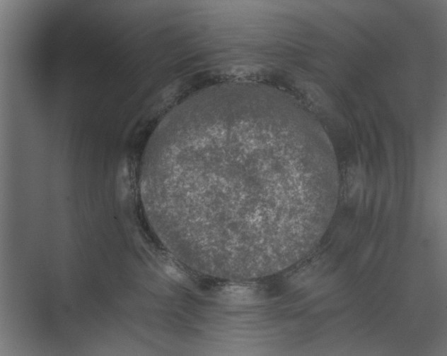 X0000073840236200608241025