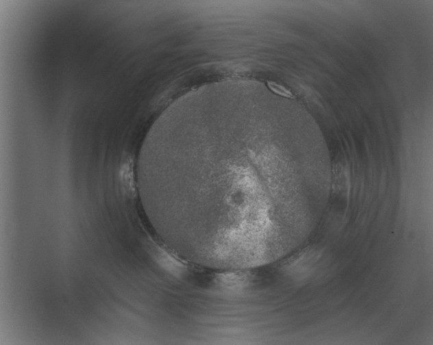 X0000073840238200608241025