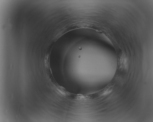 X0000073840239200608241025