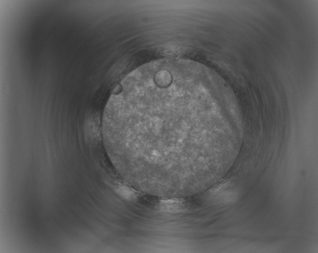 X0000073840240200608241025