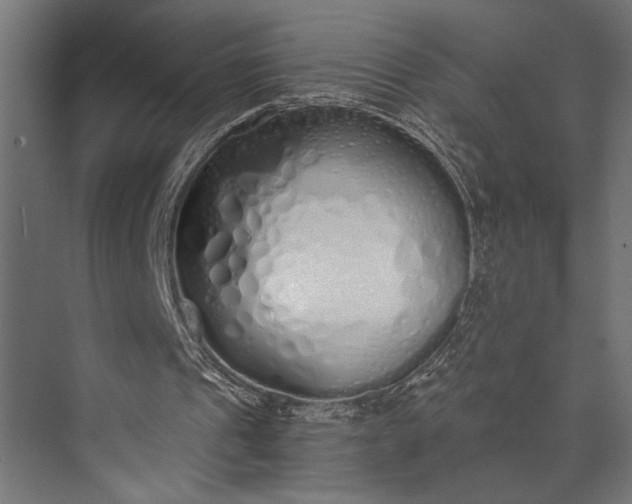 X0000073840241200608241024