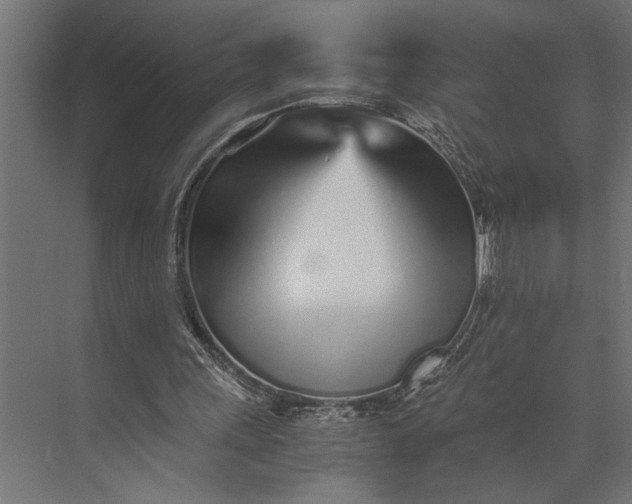 X0000073840243200608241024