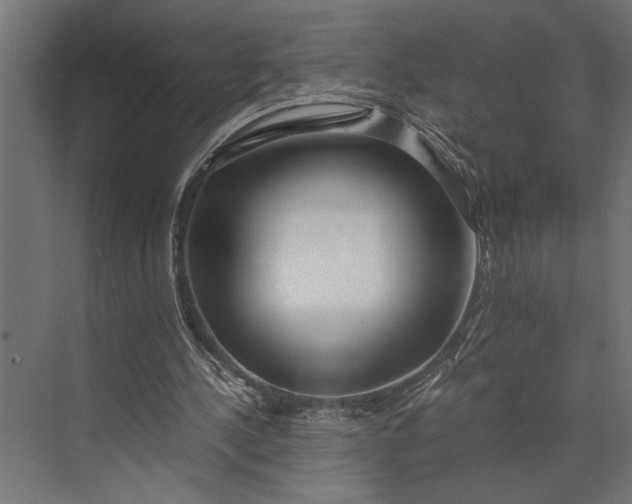 X0000073840244200608241024