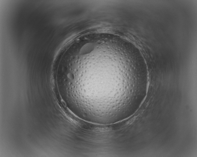 X0000073840245200608241024