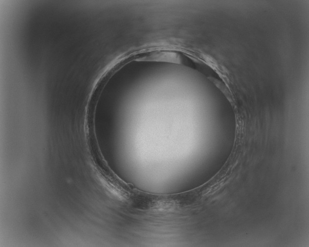 X0000073840248200608241024