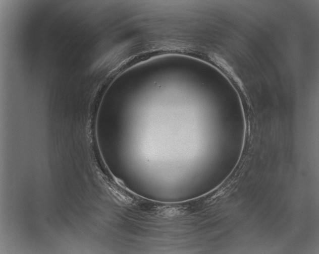 X0000073840249200608241024