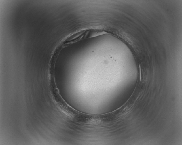 X0000073840252200608241024