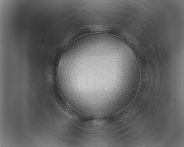 X0000073840255200608241024