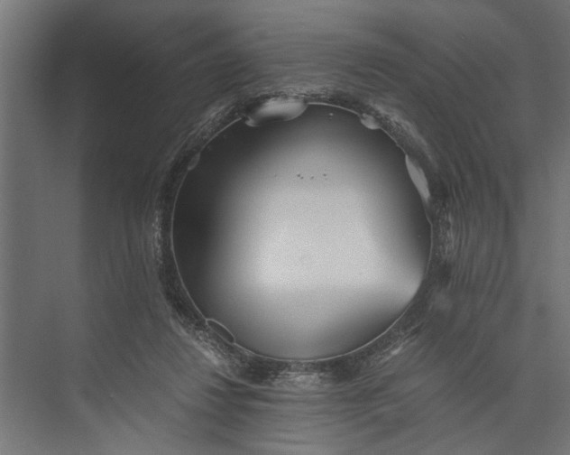 X0000073840260200608241024