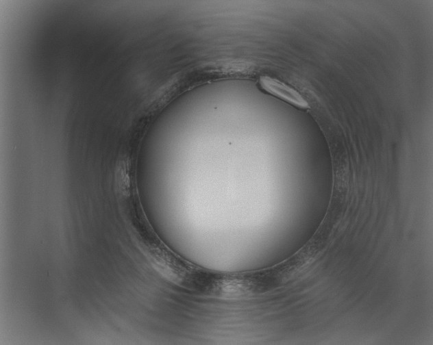 X0000073840264200608241024