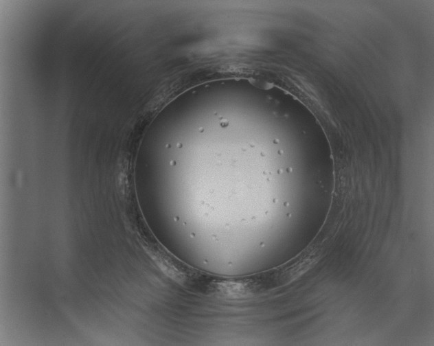 X0000073840265200608241024