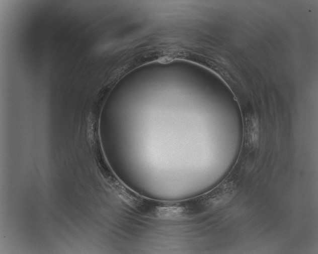 X0000073840266200608241024