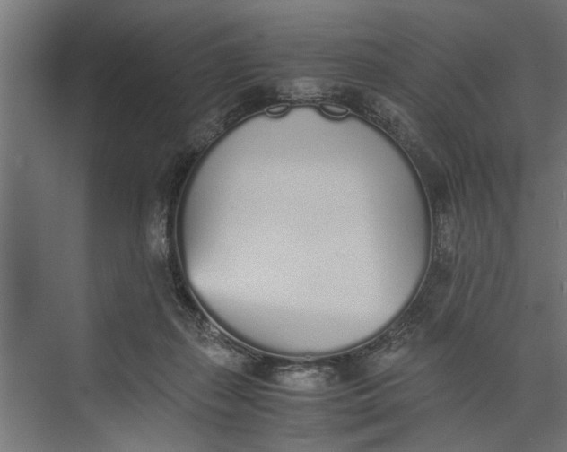 X0000073840267200608241024