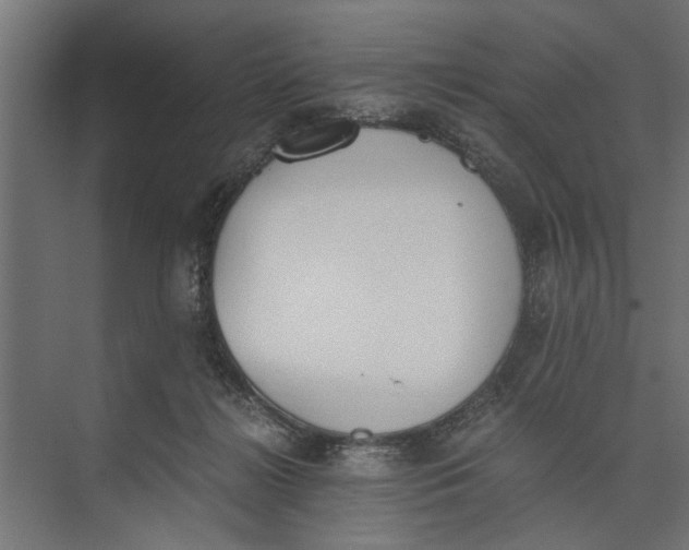 X0000073840268200608241024