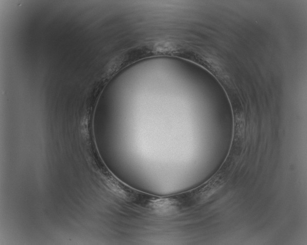 X0000073840269200608241024