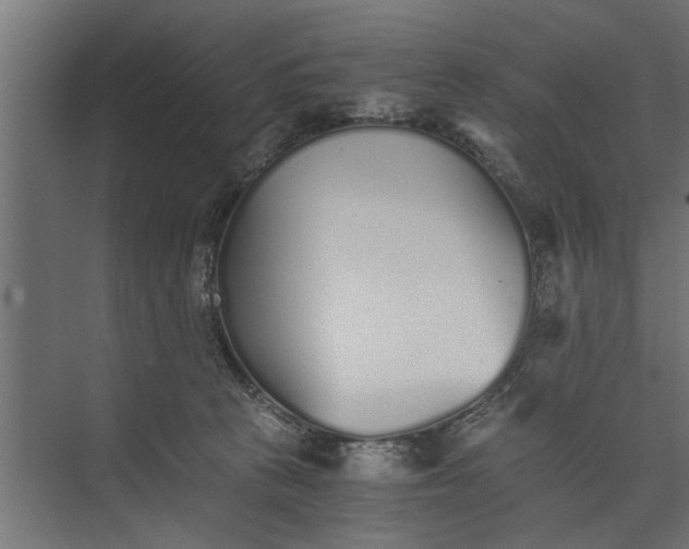 X0000073840273200608241024