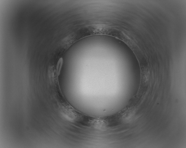 X0000073840276200608241024