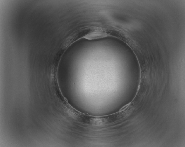 X0000073840277200608241025